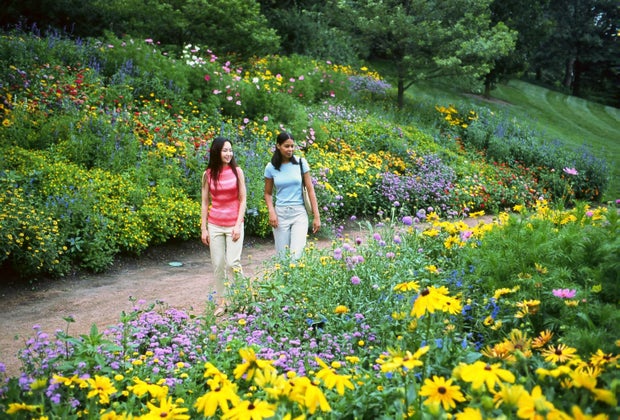 Hikes near Chicago: Chicago Botanic Gardens