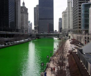 Don't miss the dyeing of the Chicago River in March. Photo courtesy of Reddit
