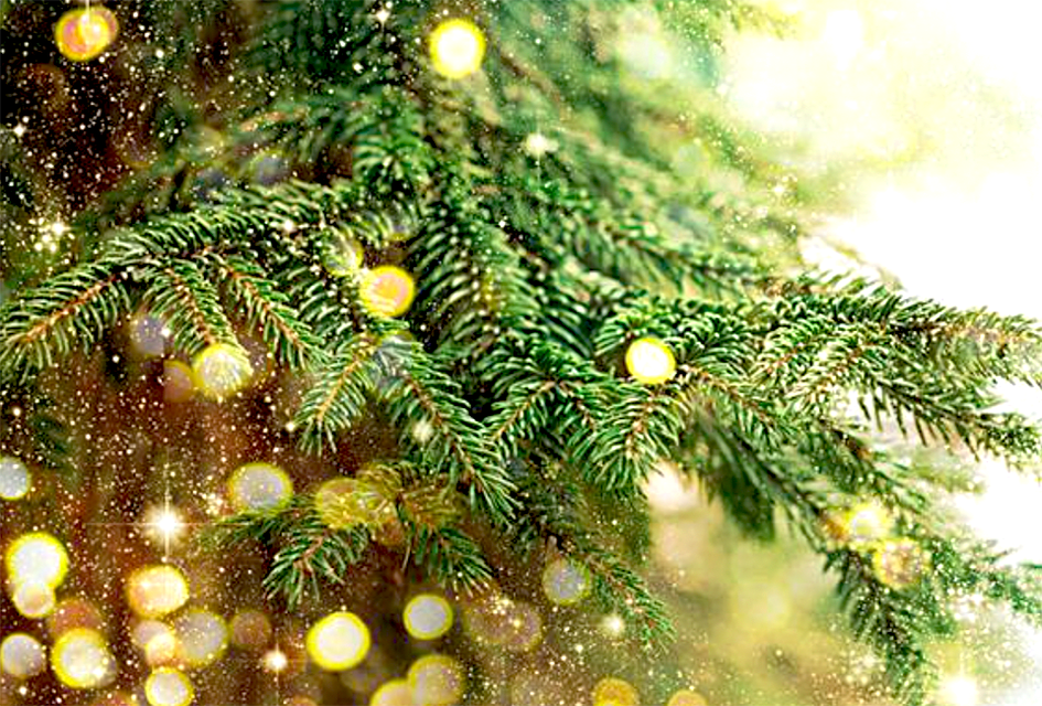 These Christmas tree delivery services make it easy to deck the halls in NYC. 