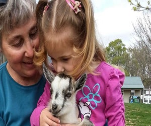 Hunt for eggs and meet cute animals at Clark's Elioak Farm. Photo courtesy of the farm