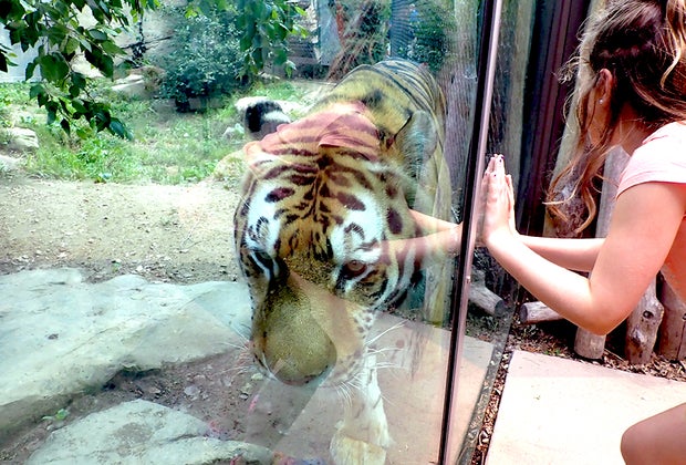 Cleveland with Kids: Cleveland Metroparks Zoo