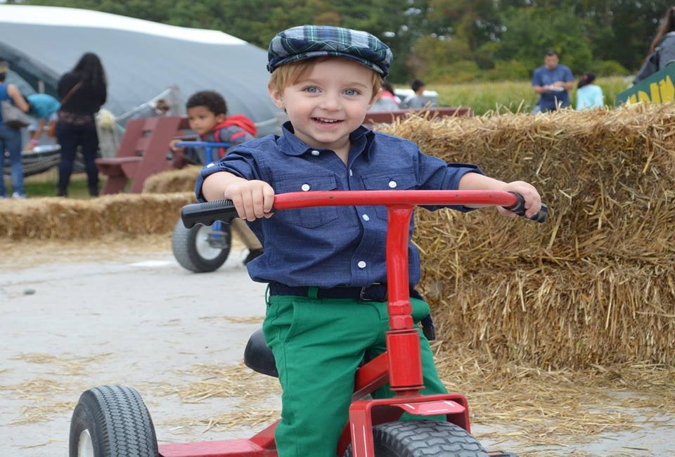 Connors Farm has apples, corn mazes, and ride-ons among the haystacks! 