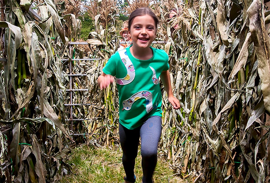Celebrate the harvest at CORNucopia in Sleepy Hollow. Photo courtesy of the Historic Hudson Valley 