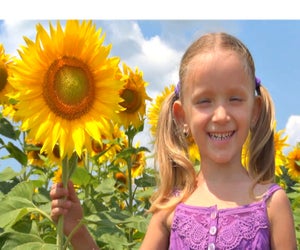 Photo courtesy of Country Barn Sunflower Festival