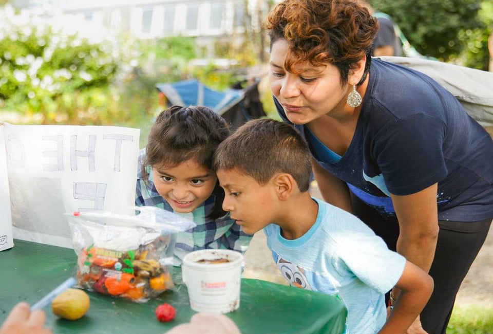 See spring blooms at the Garfield Park Conservatory