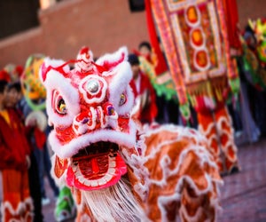 Lunar New Year comes roaring into  Connecticut, with celebrations and festivities for February 2025!