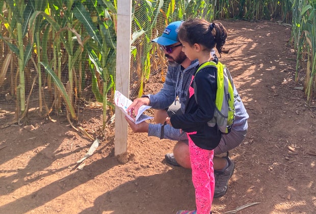 Image of parent and child in corn maze - Farm Fun at Lyman Orchards