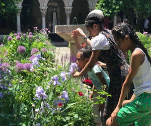 The medieval museum gardens at The Met Cloisters are lovely.