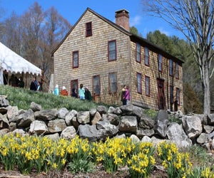Daffodils and history at the Denson Homestead Museum. Photo courtesy of the Denson Homestead Museum