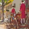 Take a carriage ride through the streets of Colonial Williamsburg. 