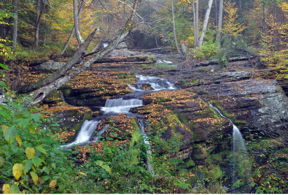 Fall foliage provides a glorious backdrop for a seasonal hike in the Delaware Water Gap. Photo by aimintang via Canva.com