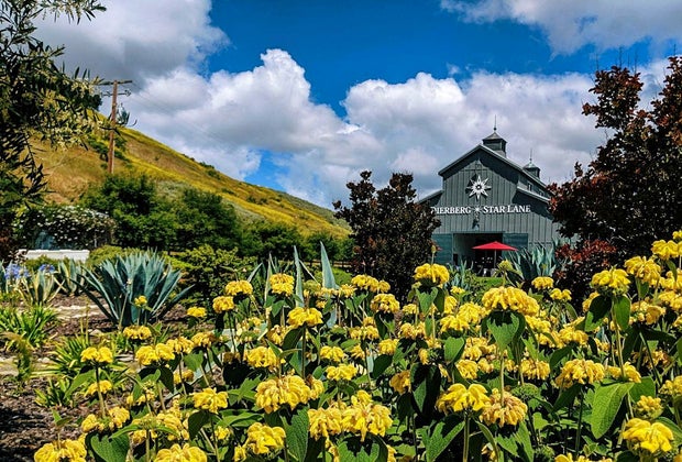 Family-Friendly Vineyards and Wineries Near Los Angeles: Dierberg Winery