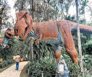 Meet the life-size dinosaurs at Dinosaur World Florida!