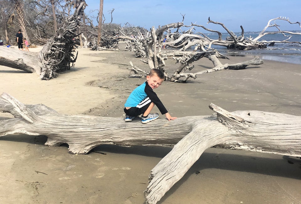 This Jekyll Island beach is filled with driftwood, hence the name: Driftwood Beach! Photo by the author 