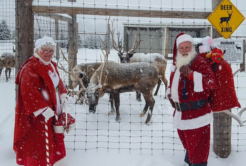 Get ready for the holidays (and Santa coming to town) with a visit to a Christmas tree farm in Connecticut! Photo courtesy of Dzen Family Tree Farm