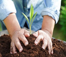 Get up close with nature for hands-on fun at the top Earth Day 2025: Earth Day activities in Boston for kids!
