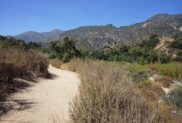Wildlife Hikes for Kids in Los Angeles: Eaton Canyon