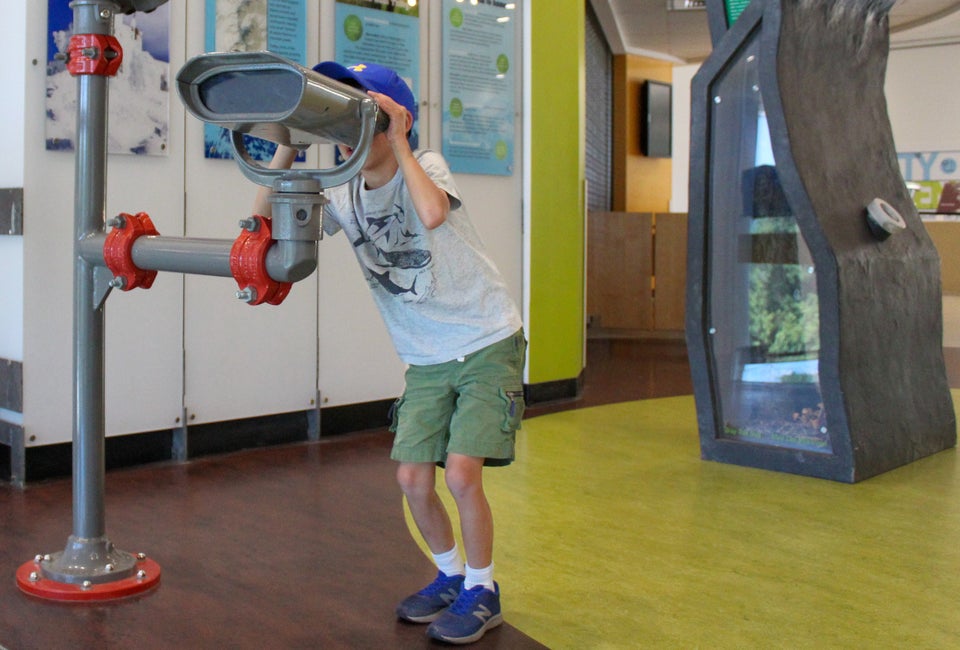 The EcoTarium encourages kids to make their own scientific discoveries. Photo courtesy of the EcoTarium