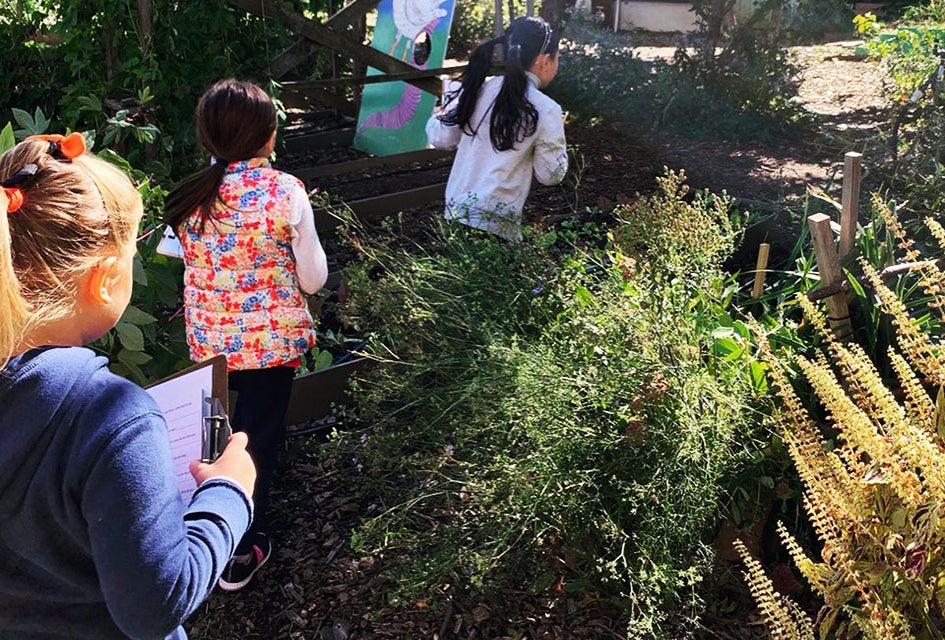 The Edible Shoolyard helps cultivate healthy kids and communities through its hands-on gardening projects. Photo courtesy of the Edible Schoolyard