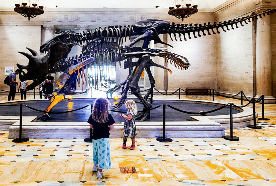 The first thing that greets you are the dinos! Photo by the author