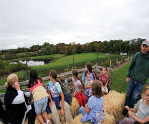 Hay! Photo courtesy of Ellsworth Hill Orchard & Berry Farm