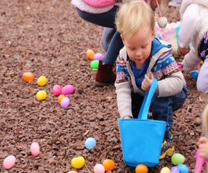 Find the golden egg at the Elmwood Park Zoo. Photo courtesy of the zoo