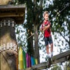 Challenge the rope bridge and zip line at Elmwood Park Zoo. Photo courtesy of the zoo
