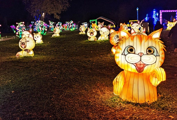 Escape NYC Winter Lantern Festival  snug harbor