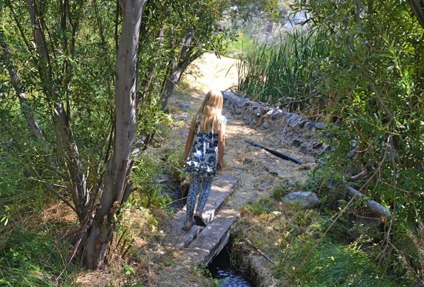 Huttopia Paradise Springs: Discover the Best New Glamping near Los Angeles: explore nature