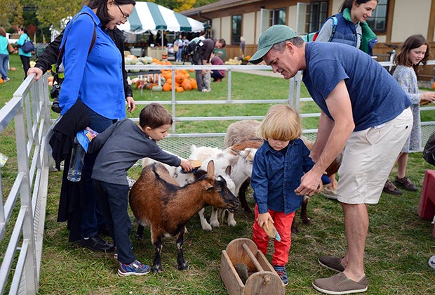 25 Things to Do in Concord Massachusetts Verrill Farm