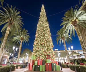 Fashion Island's tree lighting. Photo courtesy of The Irvine Company