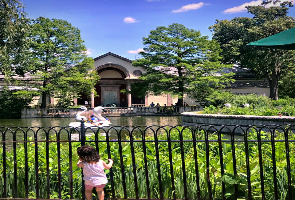 Enjoying our view of the swan boats at the Philadelphia Zoo