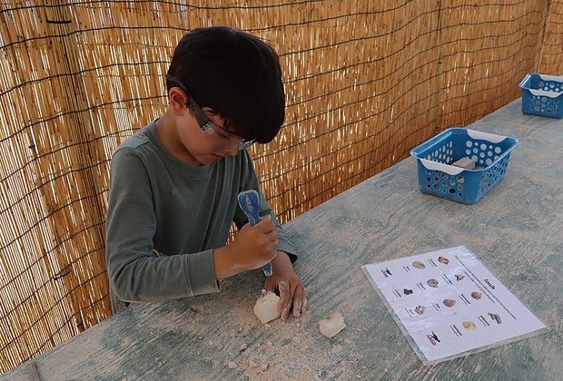 Field Station: Dinosaurs Paleontologist Lab
