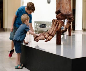 Photo courtesy of the Field Museum