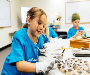Little girl learning about reptiles. Photo courtesy of  The Field Museum of Natural History