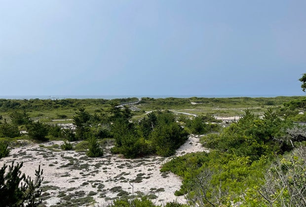 Sailors Haven on Fire Island. Top Attractions in Long Island: Best Things to See and Do With Kids