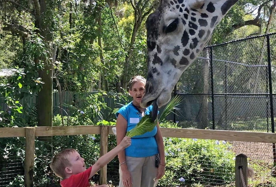 Giraffe got your tongue? Nah, it's just another fun day at the Central Florida Zoo!