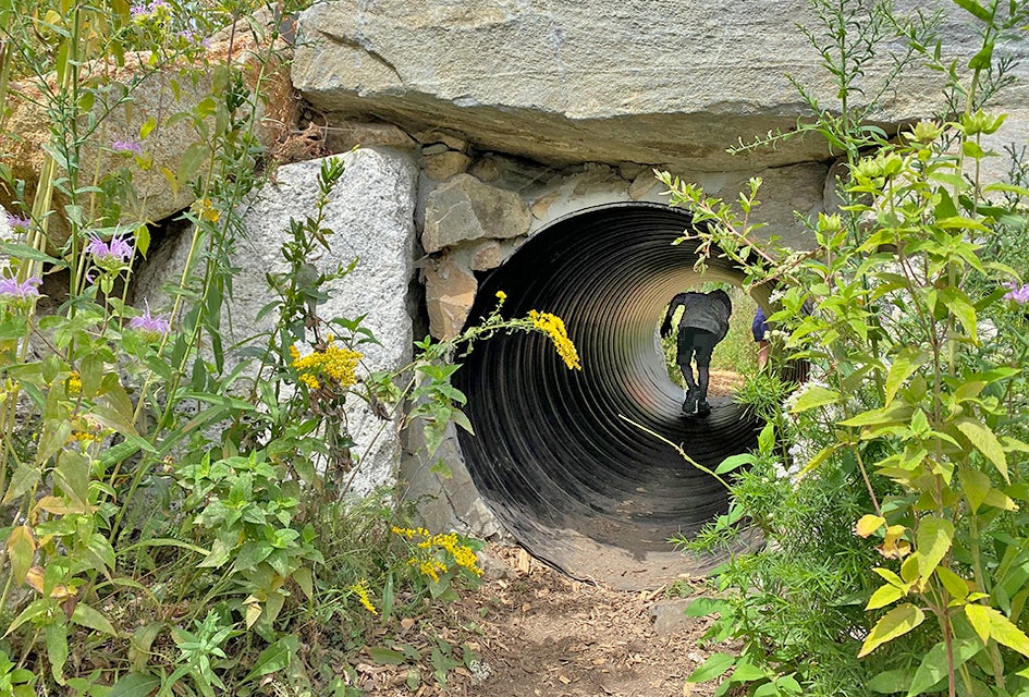 Explore Fort Williams Park in Portland, Maine. Photo by Rose Gordon Sala 