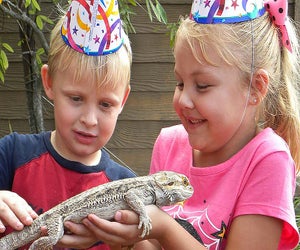 Celebrate your child's birthday party at Gatorland. Photo courtesy of Gatorland