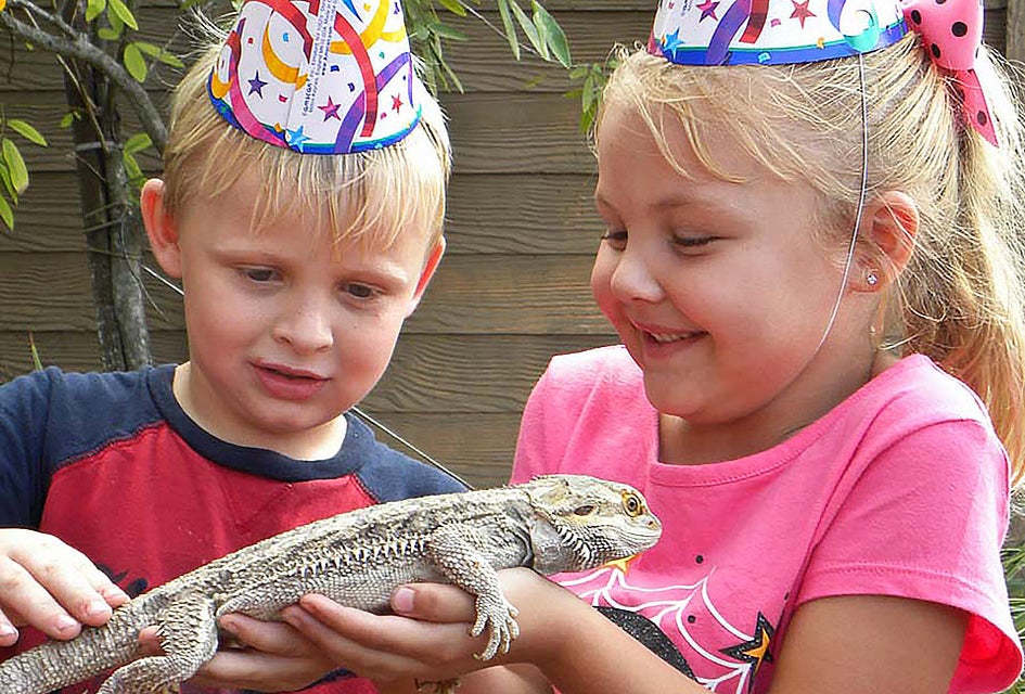 Celebrate your child's birthday party at Gatorland. Photo courtesy of Gatorland