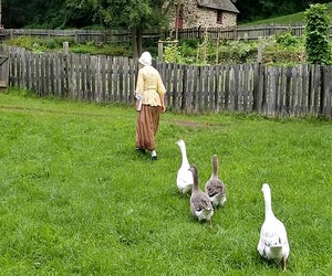 Take a trip back to the Colonial era this weekend. Photo courtesy of Colonial Pennsylvania Plantation