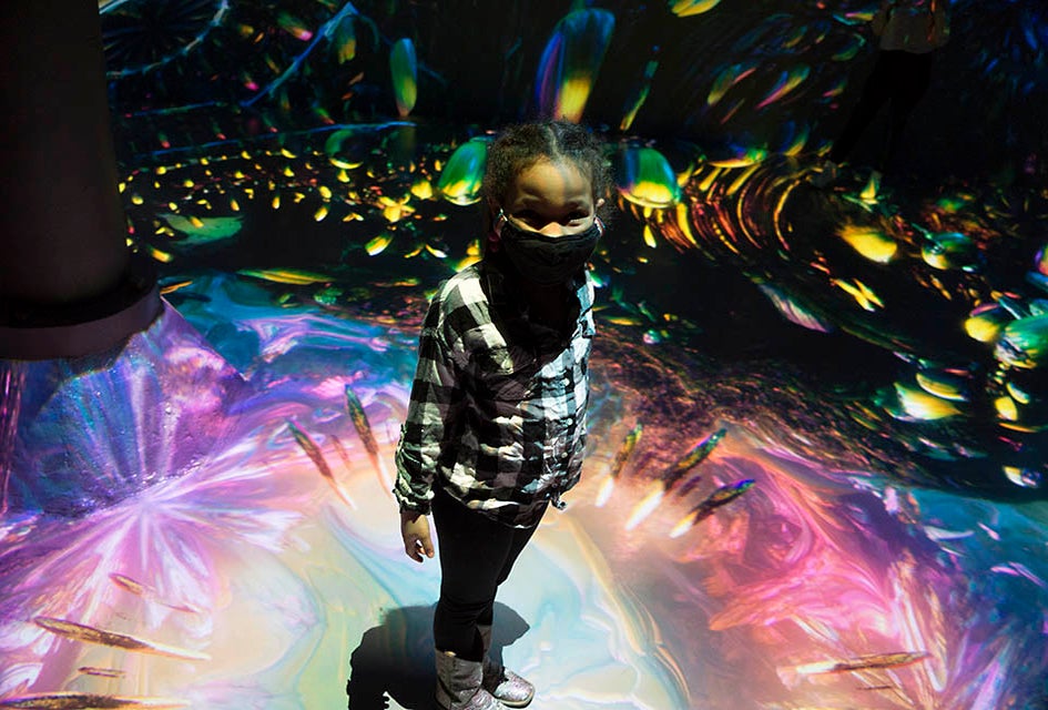 Walls, floors, and visitors themselves become part of the canvas at the immersive Artechouse NYC.