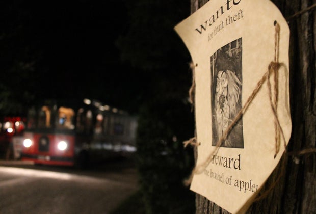 Take a trolley ride through the spooky streets of Cape May