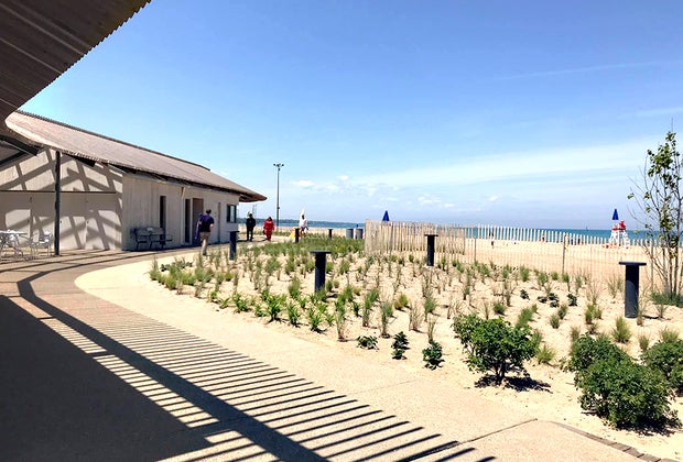 Relax on the shore and romp in water at the gorgeous Gillson Park and the Wilmette Beaches.