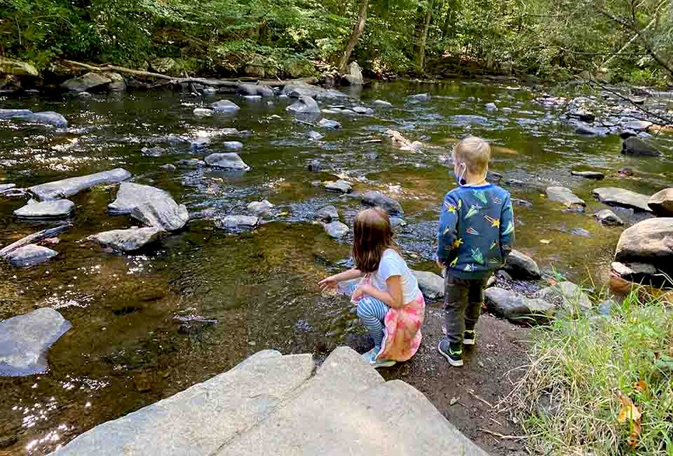 Hike amidst the soaring hemlock trees along the river at Hacklebarney State Park, which provide summer shade and brilliant fall colors.