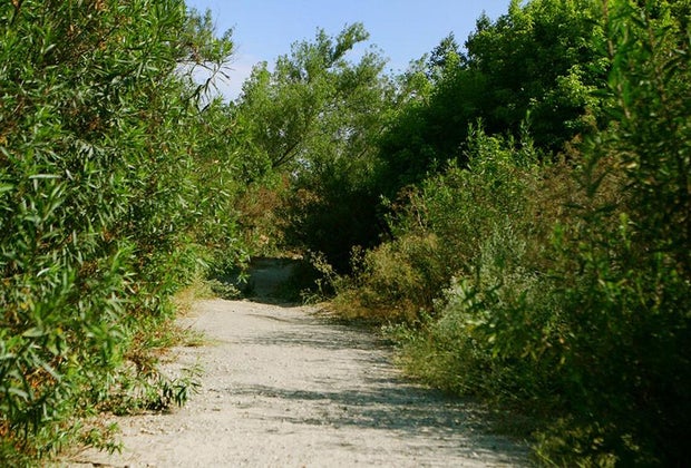 Wildlife Hikes for Kids in Los Angeles: Hahamonga Watershed Park.