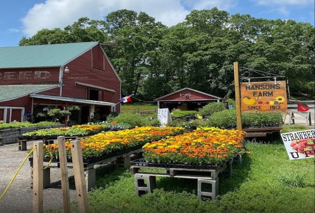Image of Hanson's Farm - Hayrides near Boston