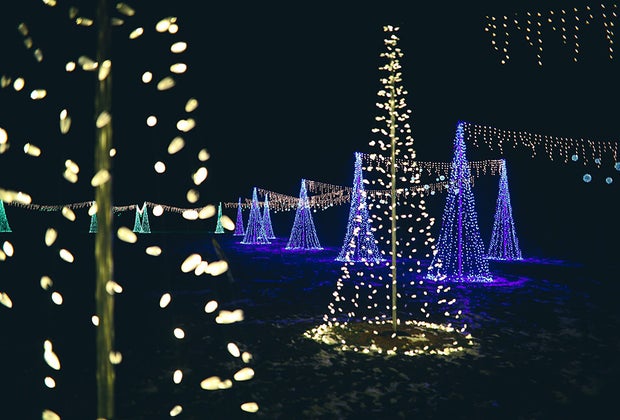 Harbaugh Village: Holiday photo-ops