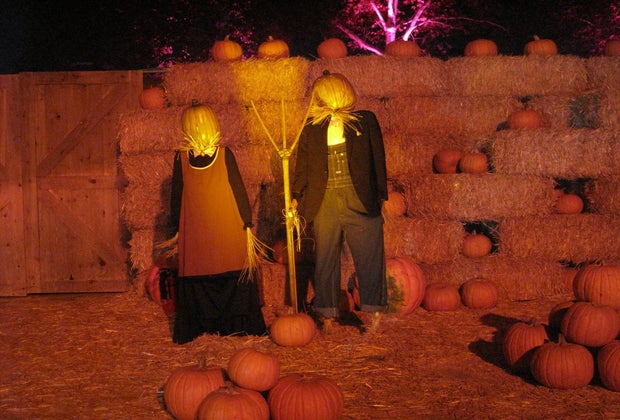 Hauntoween Halloween jack o'lanterns