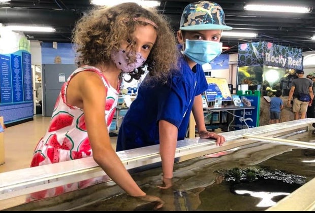 Visiting the Santa Monica Pier with Kids: Heal the Bay Aquarium